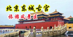 午夜影院美女逼中国北京-东城古宫旅游风景区